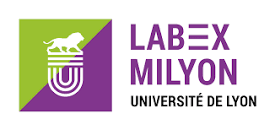 Labex Milyon University